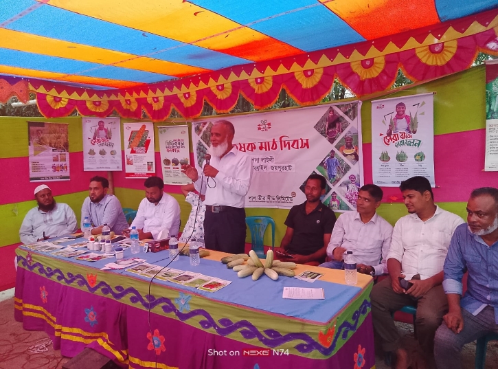 হাইব্রিড শশা ‘এলটি লাইলী’ এর কৃষক মাঠ দিবস